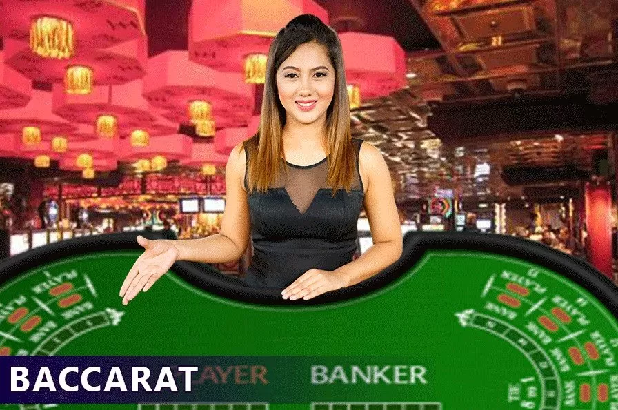 judi casino baccarat